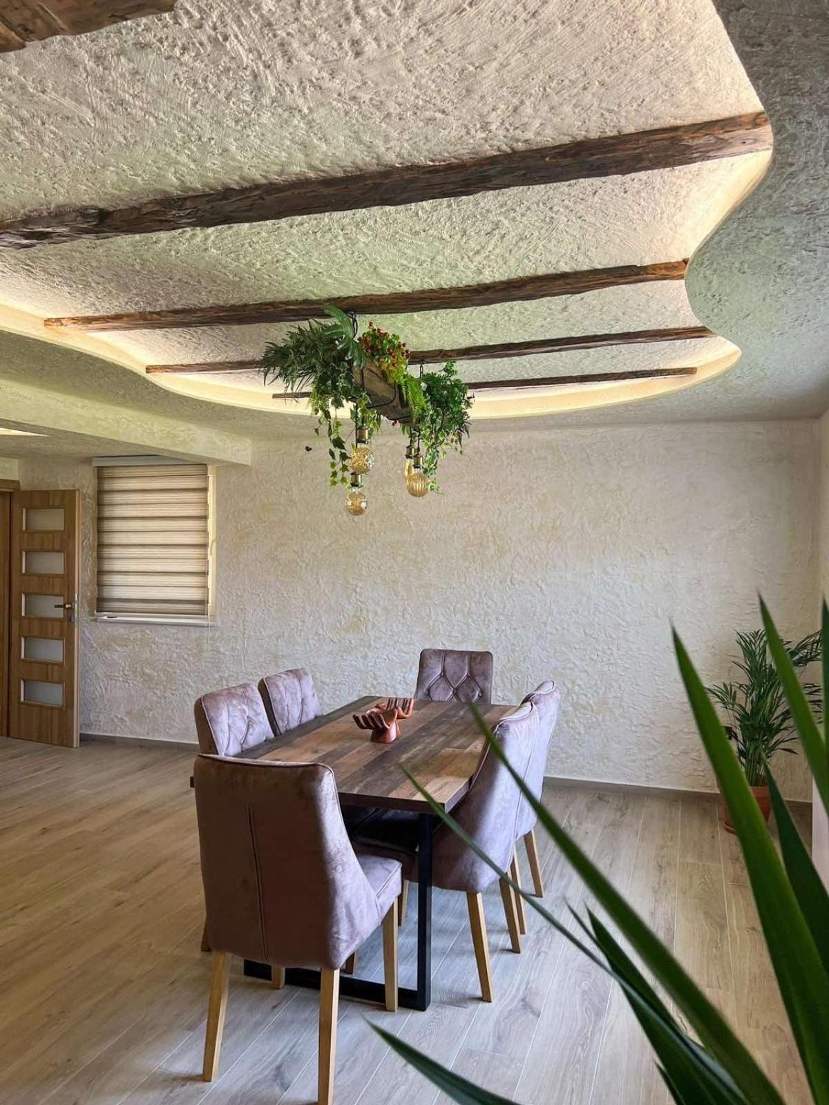 Motel Pizzeria Actros Nova Topola 外观 照片